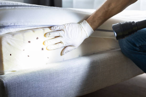 Best Residential Pest Control  in Rkesburg, PA