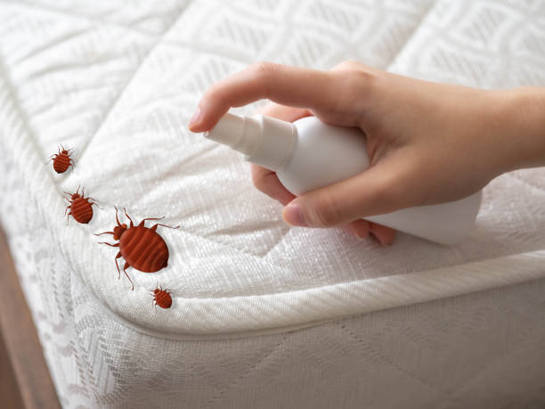 Best Best Pest Control Companies  in Rkesburg, PA