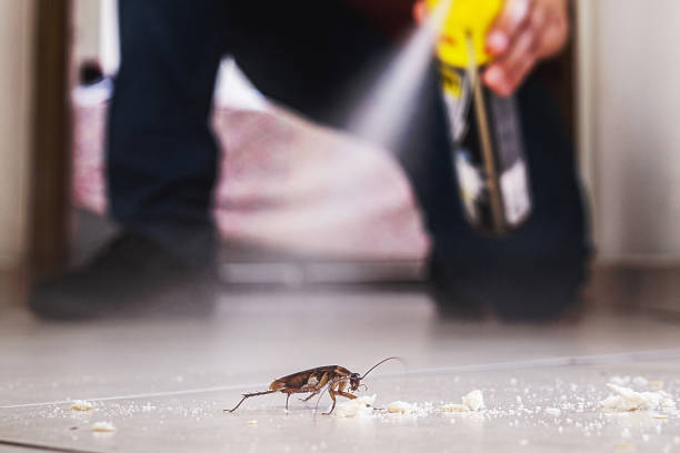 Best Affordable Pest Control Services  in Rkesburg, PA